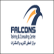 falcons.jpg